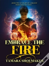 Capa do artigo Embrace The Fire