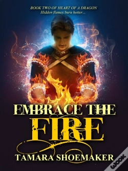 Capa do artigo Embrace The Fire