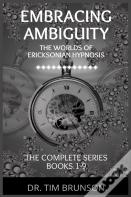 Embracing Ambiguity