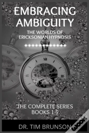 Capa do artigo Embracing Ambiguity