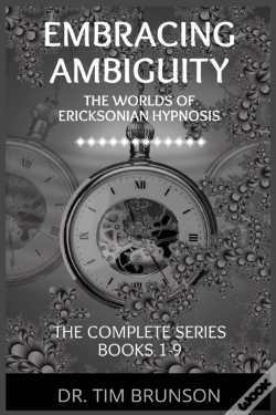 Capa do artigo Embracing Ambiguity