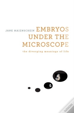 Capa do artigo Embryos Under The Microscope