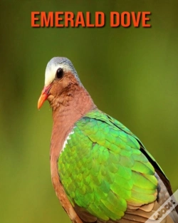 Capa do artigo Emerald Dove