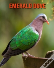 Capa do artigo Emerald Dove