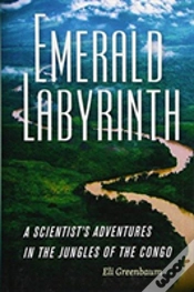 Capa do artigo Emerald Labyrinth