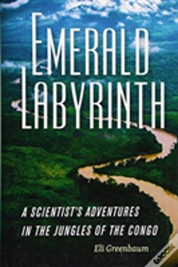 Capa do artigo Emerald Labyrinth