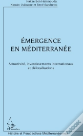 Émergence En Méditerranée ; Attractivité, Investissements Internationaux Et Délocalisations