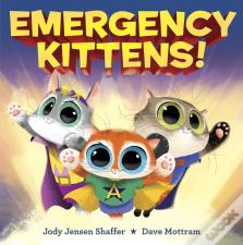 Emergency Kittens!