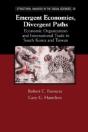 Emergent Economies, Divergent Paths - Preview