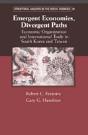 Emergent Economies, Divergent Paths - Preview