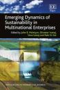 Emerging Dynamics Of Sustainability In Multinational Enterprises - Preview