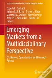 Capa do artigo Emerging Markets From A Multidisciplinary Perspective