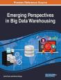 Emerging Perspectives In Big Data Warehousing - Preview