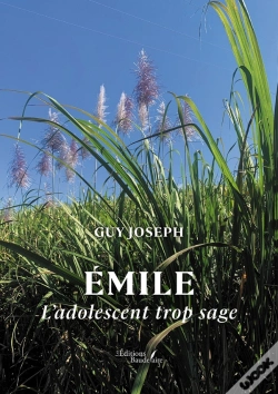 Capa do artigo Émile : L'Adolescent Trop Sage