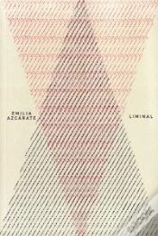 Capa do artigo Emilia Azcarate: Liminal  