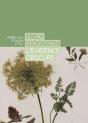 Emily Dickinson, L'Évidence Obscure - Preview