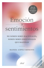 Capa do artigo Emoción Y Sentimientos