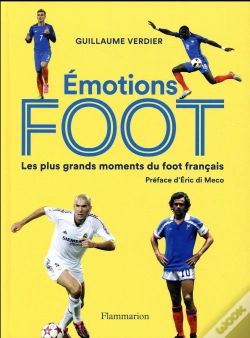 Capa do artigo Emotion Foot