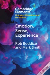 Capa do artigo Emotion, Sense, Experience