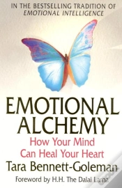 Capa do artigo Emotional Alchemy