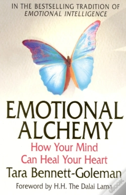 Capa do artigo Emotional Alchemy