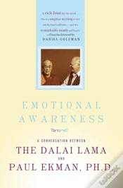 Capa do artigo Emotional Awareness