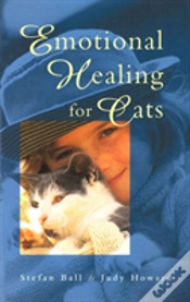 Capa do artigo Emotional Healing For Cats