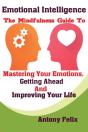 Emotional Intelligence - Preview