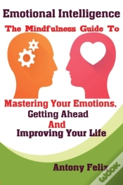 Capa do artigo Emotional Intelligence