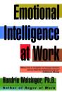 Emotional Intelligence At Work - Preview