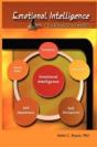 Emotional Intelligence - Preview