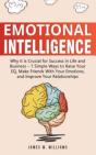 Emotional Intelligence - Preview