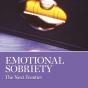 Emotional Sobriety - Preview