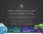 Emotionally Healthy Relationships Expanded Edition Discipleship Kit - Preview