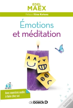 Capa do artigo Émotions Et Méditation (2e Édition)