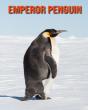 Emperor Penguin - Preview