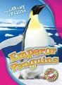 Emperor Penguins - Preview