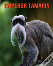 Capa do artigo Emperor Tamarin