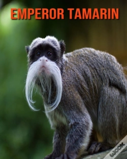 Capa do artigo Emperor Tamarin