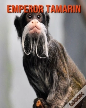 Capa do artigo Emperor Tamarin
