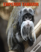 Capa do artigo Emperor Tamarin