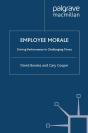 Employee Morale - Preview