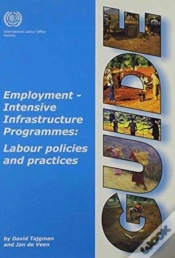 Capa do artigo Employment Intensive Infrastructure