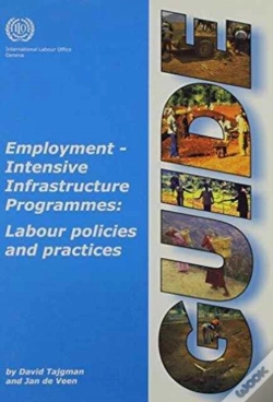 Capa do artigo Employment Intensive Infrastructure