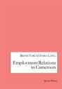 Employment Relations In Cameroon - Preview
