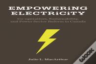 Empowering Electricity
