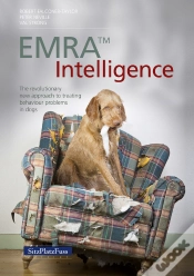 Capa do artigo Emra(Tm) Intelligence
