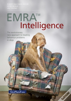 Capa do artigo Emra(Tm) Intelligence