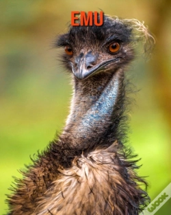 Capa do artigo Emu