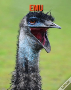 Capa do artigo Emu